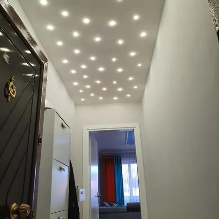 Vjola